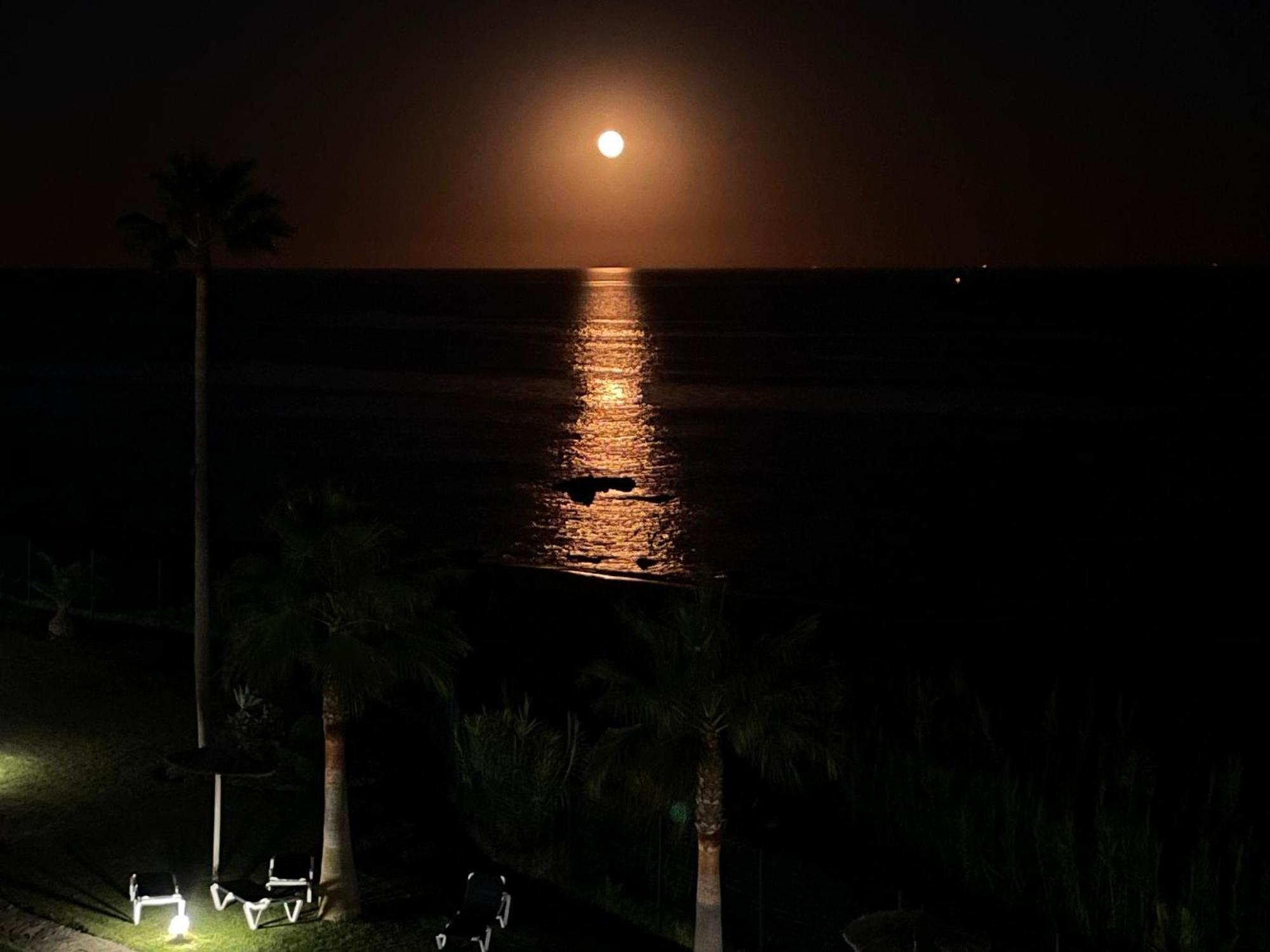 Exclusive Luxury Frontline Beach Penthouse Casares Del Mar - Estepona 外观 照片